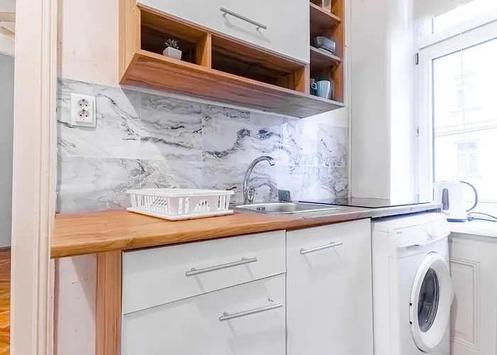 1br Apt. Near The Danube & Prater Stern شقة فيينا